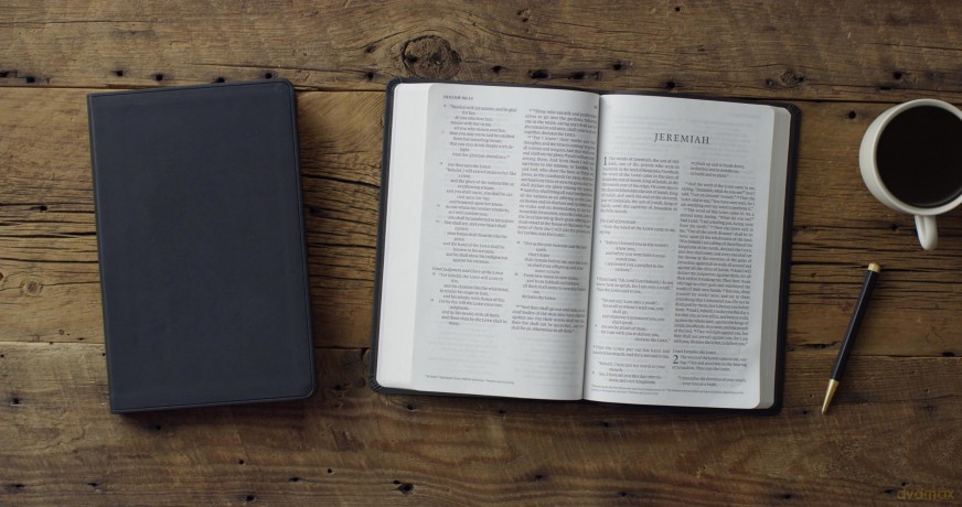 ESV Large Print Value Thinline Bible (TruTone, Black) [KSIĄŻKA]