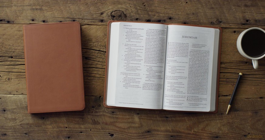 ESV Large Print Value Thinline Bible (TruTone, Camel) [KSIĄŻKA]