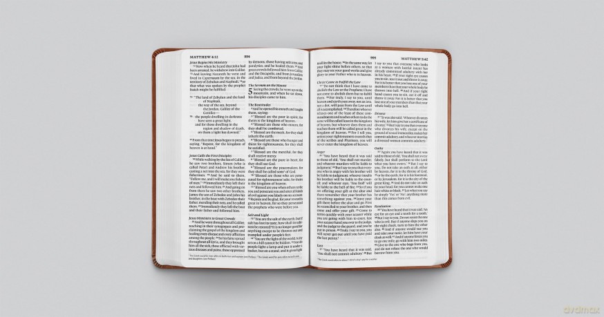 ESV Large Print Value Thinline Bible (TruTone, Camel) [KSIĄŻKA]