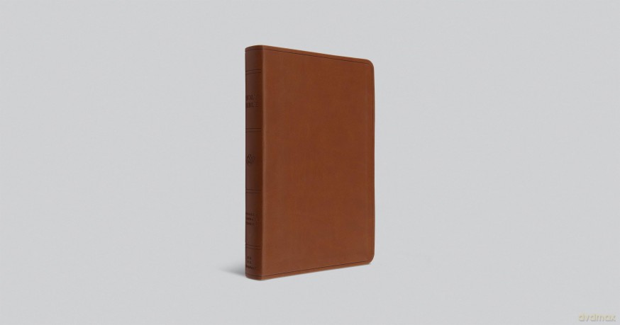 ESV Large Print Value Thinline Bible (TruTone, Camel) [KSIĄŻKA]