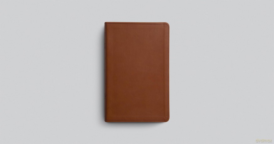 ESV Large Print Value Thinline Bible (TruTone, Camel) [KSIĄŻKA]