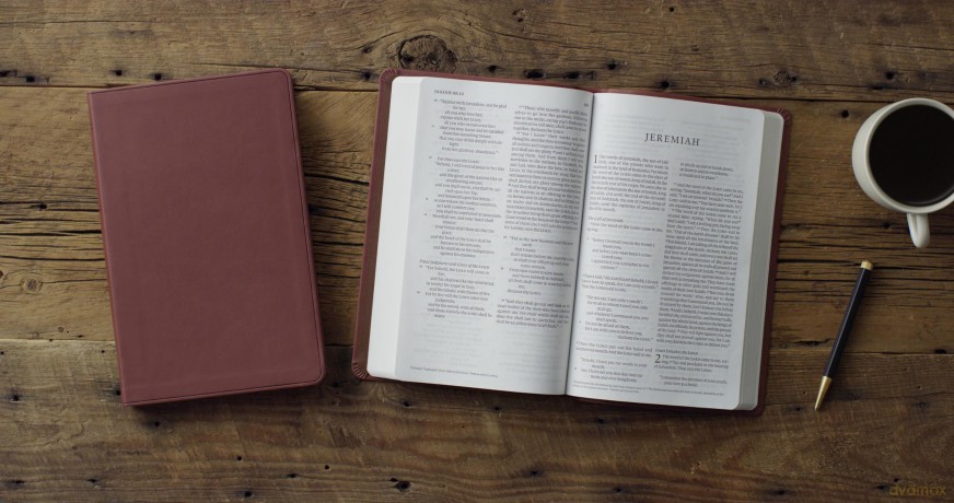 ESV Large Print Value Thinline Bible (TruTone, Chestnut) [KSIĄŻKA]