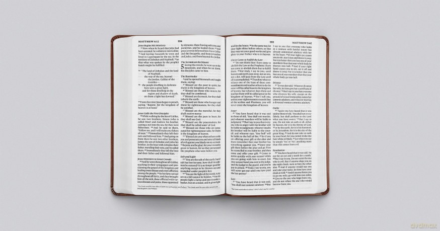 ESV Large Print Value Thinline Bible (TruTone, Chestnut) [KSIĄŻKA]