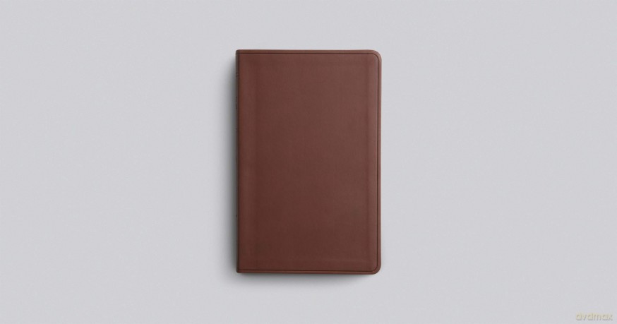 ESV Large Print Value Thinline Bible (TruTone, Chestnut) [KSIĄŻKA]