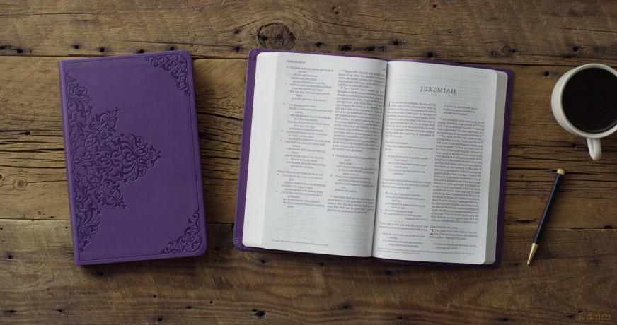 ESV Large Print Value Thinline Bible (TruTone, Lavender, Filigree Design) [KSIĄŻKA]