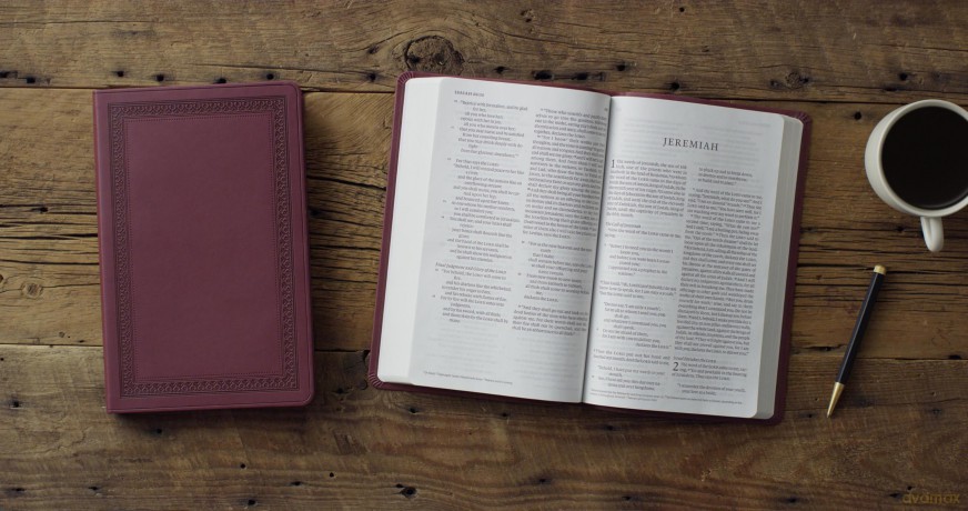 ESV Large Print Value Thinline Bible (TruTone, Mahogany, Border Design) [KSIĄŻKA]