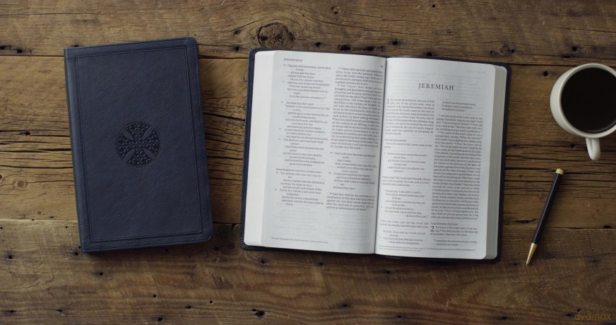 ESV Large Print Value Thinline Bible (TruTone, Navy, Mosaic Cross Design) [KSIĄŻKA]
