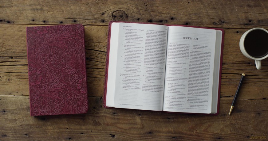 ESV Large Print Value Thinline Bible (TruTone, Raspberry, Floral Design) [KSIĄŻKA]