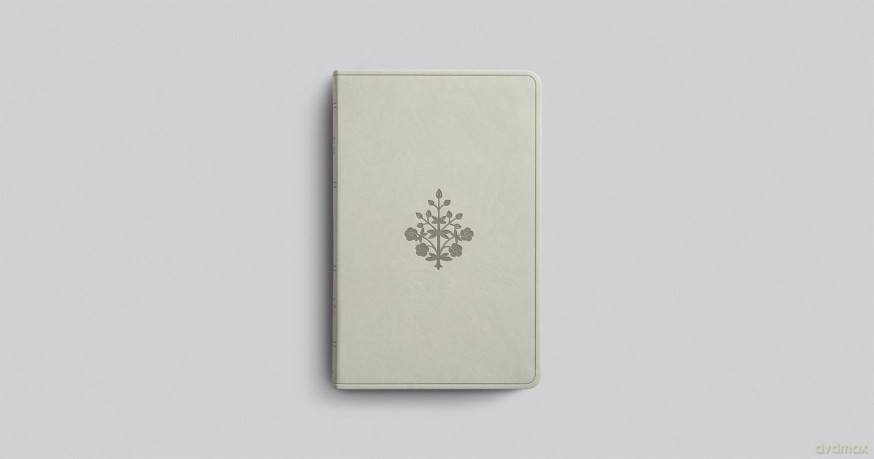 ESV Large Print Value Thinline Bible (TruTone, River Stone, Branch Design) [KSIĄŻKA]
