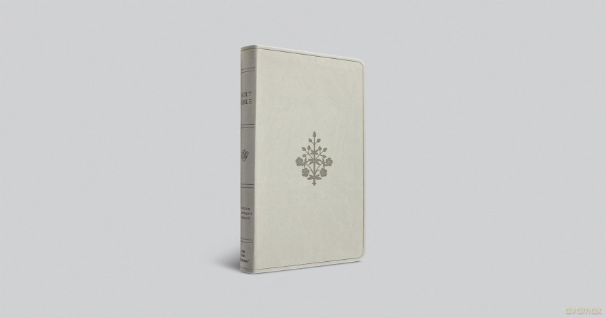 ESV Large Print Value Thinline Bible (TruTone, River Stone, Branch Design) [KSIĄŻKA]