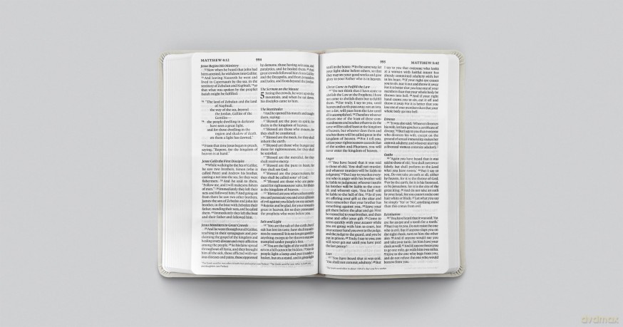 ESV Large Print Value Thinline Bible (TruTone, River Stone, Branch Design) [KSIĄŻKA]