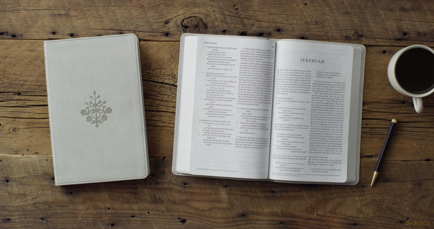 ESV Large Print Value Thinline Bible (TruTone, River Stone, Branch Design) [KSIĄŻKA]