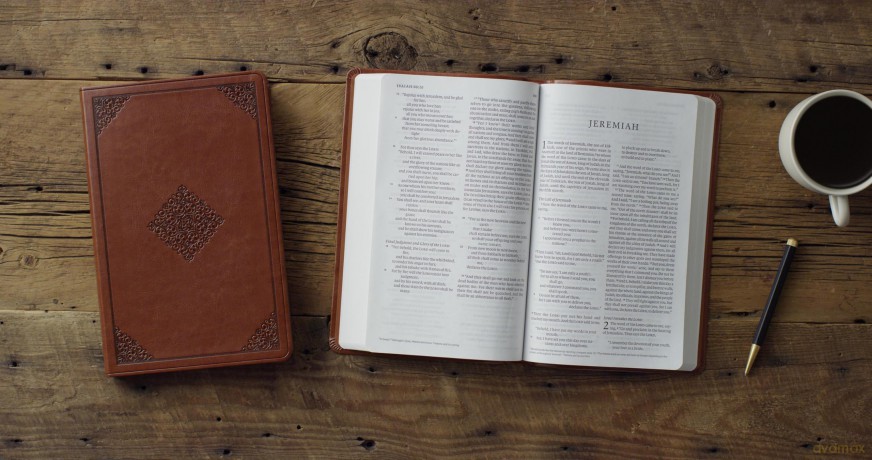ESV Large Print Value Thinline Bible (TruTone, Tan, Ornament Design) [KSIĄŻKA]