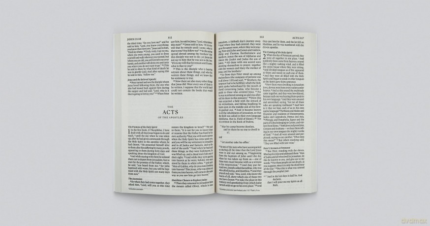 ESV Outreach New Testament, Large Print (Paperback) [KSIĄŻKA]