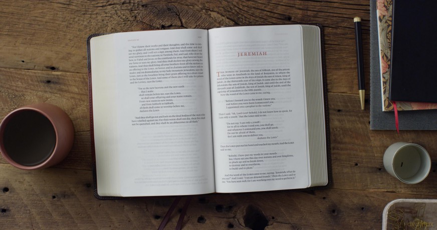 ESV Reader's Bible (TruTone, Brown/Cordovan, Portfolio Design): English Standard Version, Brown/Cordovan, Trutone, Portfolio Designreader's With Ribbon Marker [KSIĄŻKA]