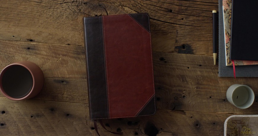 ESV Reader's Bible (TruTone, Brown/Cordovan, Portfolio Design): English Standard Version, Brown/Cordovan, Trutone, Portfolio Designreader's With Ribbon Marker [KSIĄŻKA]