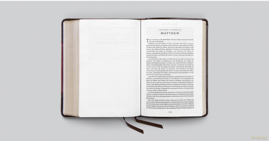 ESV Reader's Bible (TruTone, Brown/Cordovan, Portfolio Design): English Standard Version, Brown/Cordovan, Trutone, Portfolio Designreader's With Ribbon Marker [KSIĄŻKA]