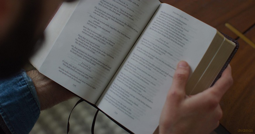 ESV Reader's Bible (TruTone, Brown/Cordovan, Portfolio Design): English Standard Version, Brown/Cordovan, Trutone, Portfolio Designreader's With Ribbon Marker [KSIĄŻKA]