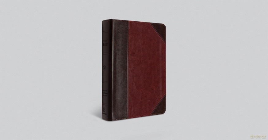 ESV Reader's Bible (TruTone, Brown/Cordovan, Portfolio Design): English Standard Version, Brown/Cordovan, Trutone, Portfolio Designreader's With Ribbon Marker [KSIĄŻKA]