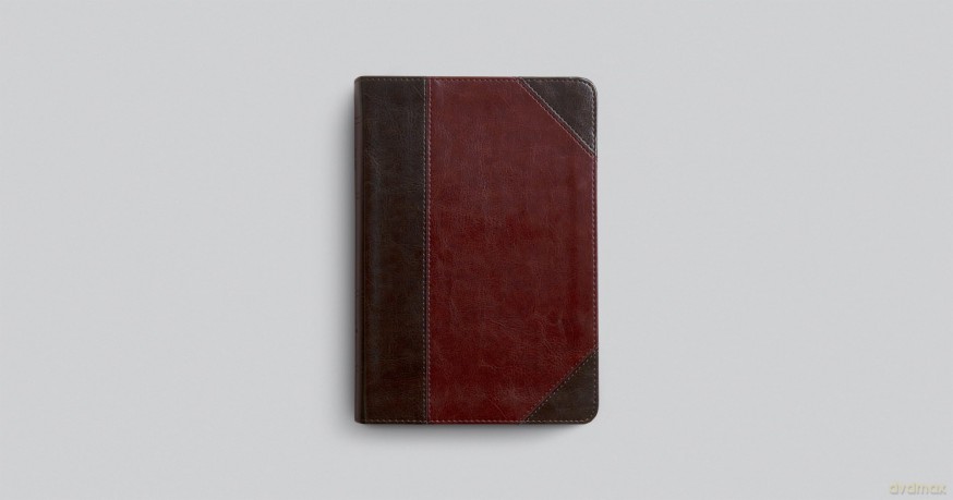 ESV Reader's Bible (TruTone, Brown/Cordovan, Portfolio Design): English Standard Version, Brown/Cordovan, Trutone, Portfolio Designreader's With Ribbon Marker [KSIĄŻKA]