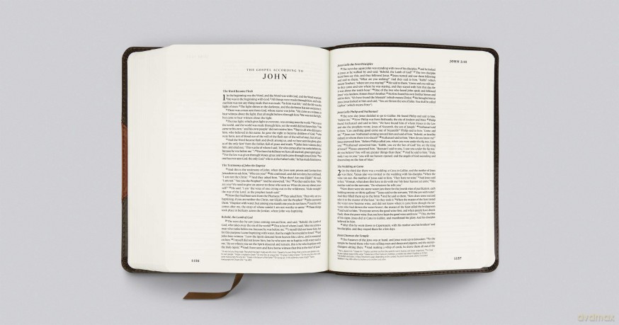ESV Single Column Journaling Bible (TruTone, Brown/Cordovan, Portfolio Design) [KSIĄŻKA]