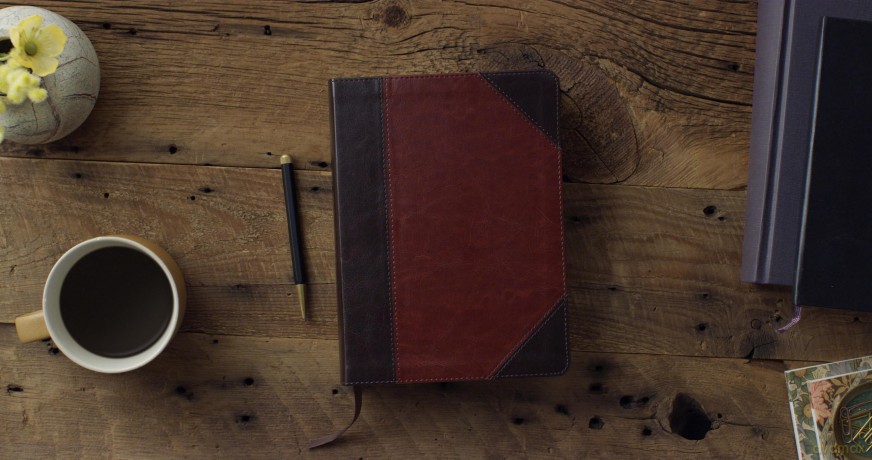 ESV Single Column Journaling Bible (TruTone, Brown/Cordovan, Portfolio Design) [KSIĄŻKA]