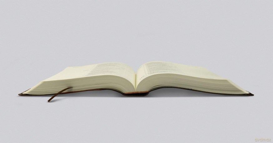 ESV Single Column Journaling Bible (TruTone, Brown/Cordovan, Portfolio Design) [KSIĄŻKA]
