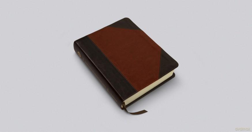ESV Single Column Journaling Bible (TruTone, Brown/Cordovan, Portfolio Design) [KSIĄŻKA]