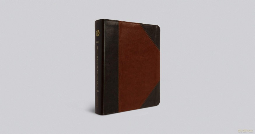 ESV Single Column Journaling Bible (TruTone, Brown/Cordovan, Portfolio Design) [KSIĄŻKA]