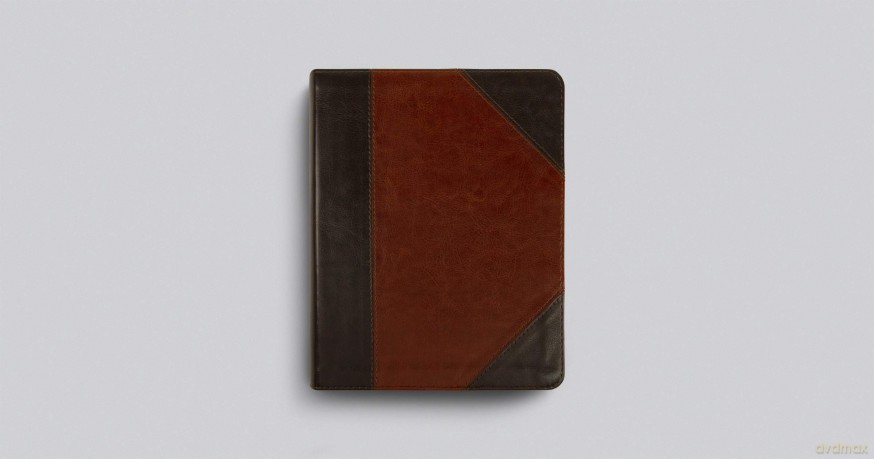 ESV Single Column Journaling Bible (TruTone, Brown/Cordovan, Portfolio Design) [KSIĄŻKA]