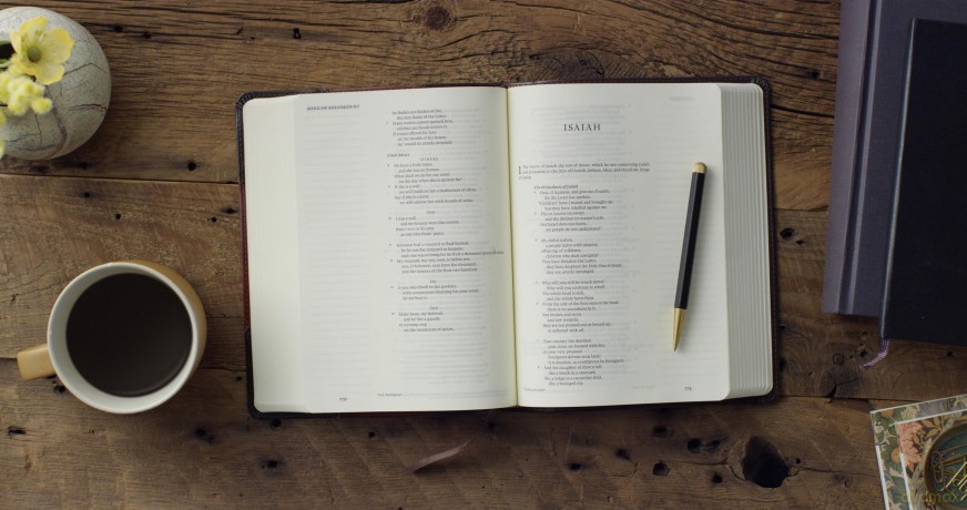 ESV Single Column Journaling Bible (TruTone, Brown/Cordovan, Portfolio Design) [KSIĄŻKA]