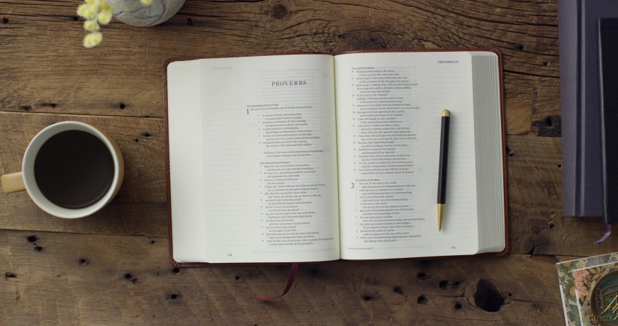 ESV Single Column Journaling Bible (TruTone, Chestnut, Leaves Design) [KSIĄŻKA]