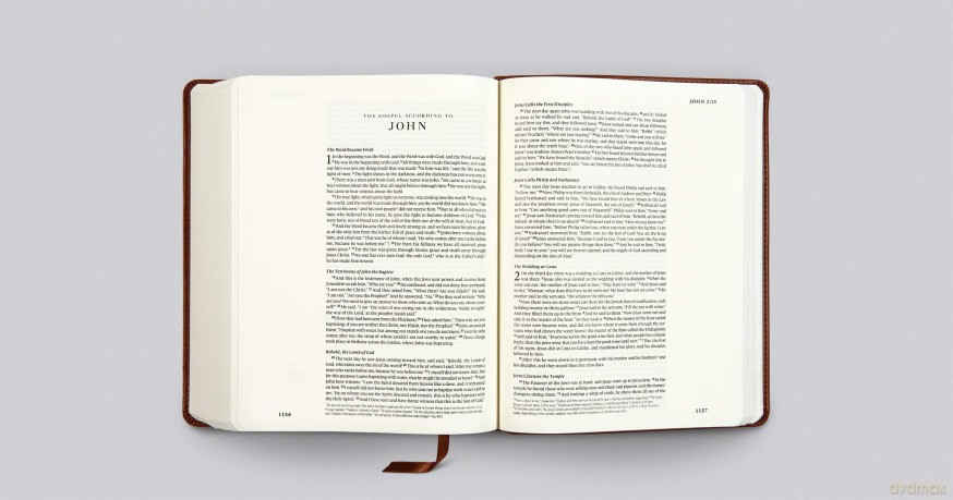 ESV Single Column Journaling Bible (TruTone, Chestnut, Leaves Design) [KSIĄŻKA]