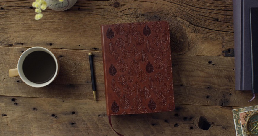 ESV Single Column Journaling Bible (TruTone, Chestnut, Leaves Design) [KSIĄŻKA]