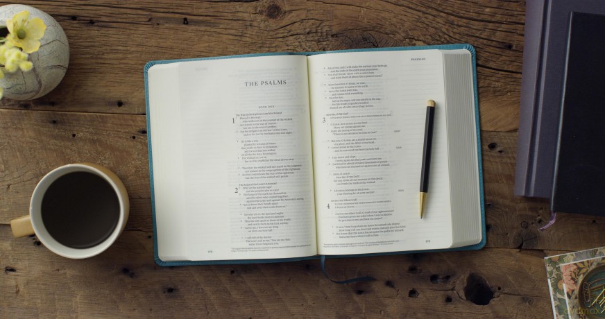 ESV Single Column Journaling Bible (TruTone, Teal, Resplendent Cross Design) [KSIĄŻKA]