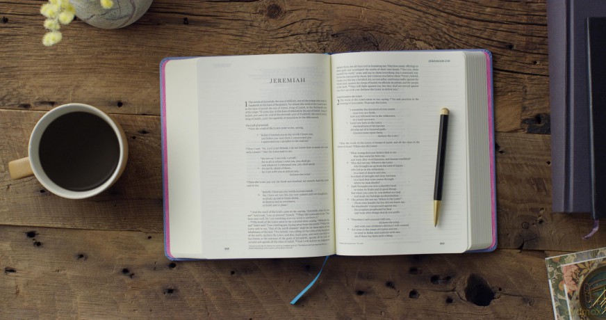 ESV Single Column Journaling Bible, Artist Series [KSIĄŻKA]