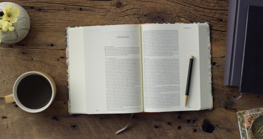 ESV Single Column Journaling Bible, Artist Series (Hardcover, Ruth Chou Simons, Be Transformed) [KSIĄŻKA]