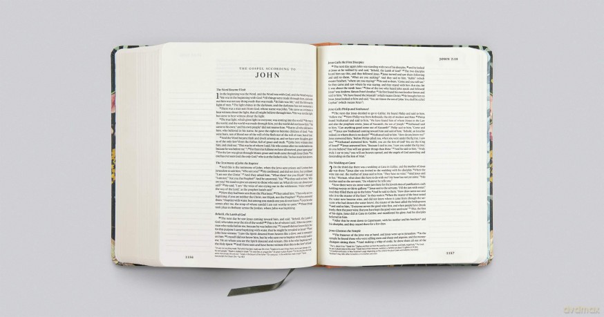 ESV Single Column Journaling Bible, Artist Series (Hardcover, Ruth Chou Simons, Be Transformed) [KSIĄŻKA]
