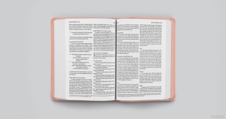ESV Value Large Print Compact Bible (TruTone, Blush Rose, Fleur-de-lis Design) [KSIĄŻKA]