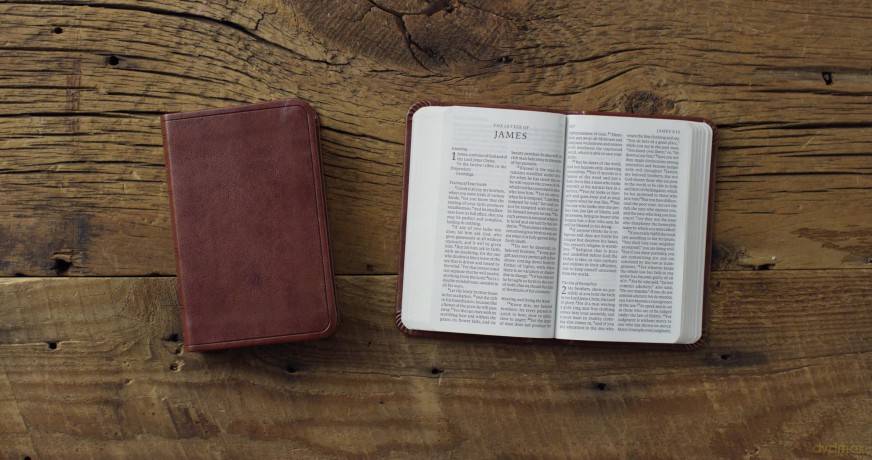ESV Vest Pocket New Testament with Psalms and Proverbs, Red Letter (TruTone, Chestnut) [KSIĄŻKA]
