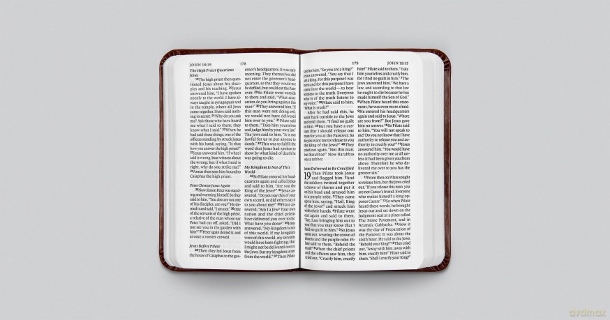 ESV Vest Pocket New Testament with Psalms and Proverbs, Red Letter (TruTone, Chestnut) [KSIĄŻKA]