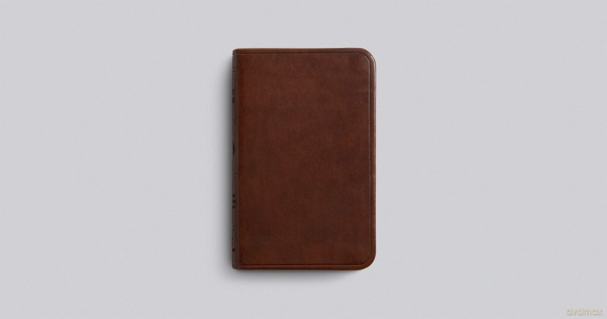 ESV Vest Pocket New Testament with Psalms and Proverbs, Red Letter (TruTone, Chestnut) [KSIĄŻKA]
