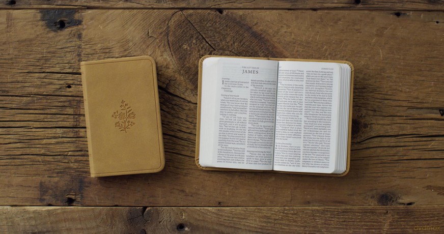 ESV Vest Pocket New Testament with Psalms and Proverbs, Red Letter (TruTone, Nubuck Caramel, Wildflower Design) [KSIĄŻKA]