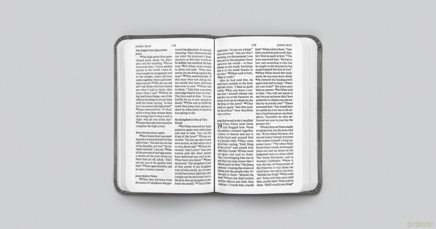 ESV Vest Pocket New Testament with Psalms and Proverbs, Red Letter (TruTone, Silver, Sword Design) [KSIĄŻKA]