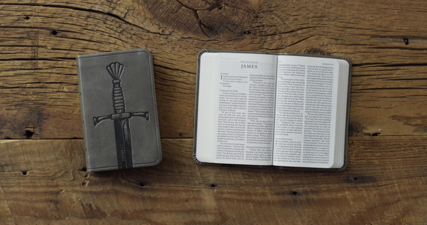 ESV Vest Pocket New Testament with Psalms and Proverbs, Red Letter (TruTone, Silver, Sword Design) [KSIĄŻKA]