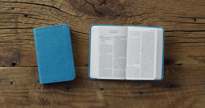 ESV Vest Pocket New Testament with Psalms and Proverbs, Red Letter (TruTone, Teal) [KSIĄŻKA]