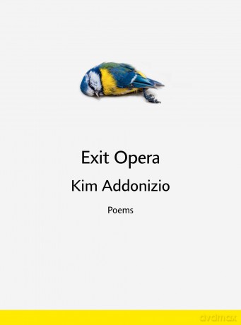 Exit Opera: Poems - Kim Addonizio [KSIĄŻKA]