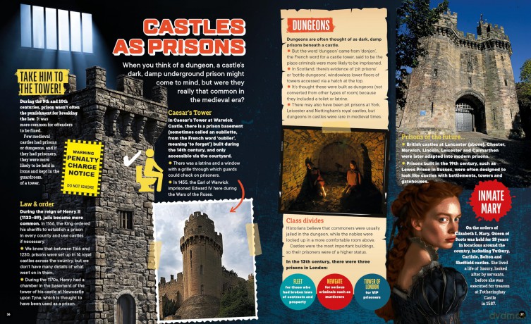 Factology: Castles: Open Up A World Of Information! - Button Books [KSIĄŻKA]