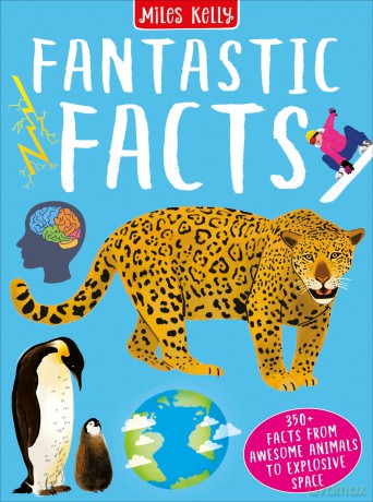 Fantastic Facts: Fantastic Facts features more than 300 awesome facts, from amazing animals to explosive space, to excite and teach your school-aged child (7+). - Kelly, Miles [KSIĄŻKA]