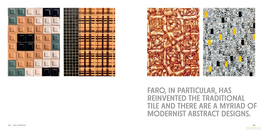 Faro Modernism: Buildings, heritage and culture through the lens of an artist - Walker Richard [KSIĄŻKA]